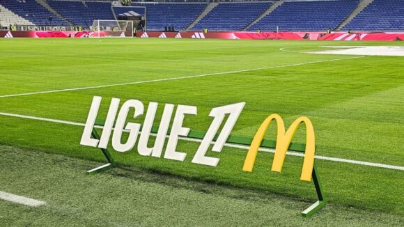 La pelouse du Parc OL en Ligue 1